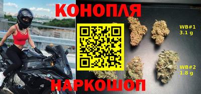 прущие грибы Заводоуковск