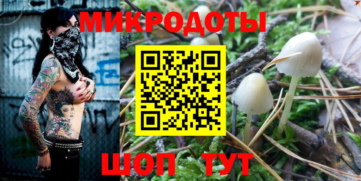 Псилоцибиновые грибы MAGIC MUSHROOMS Луга
