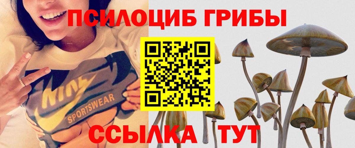 Луга  Галлюциногенные грибы мухоморы  Псилоцибиновые грибы прущие грибы  Вход с VPN 