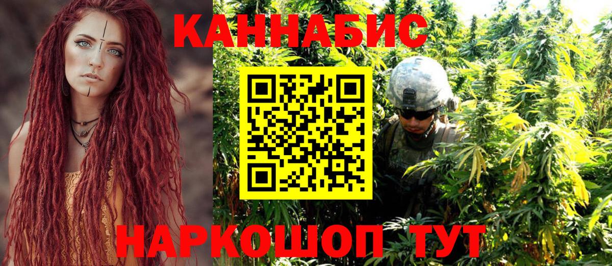 Бошки марихуана Bruce Banner Луга