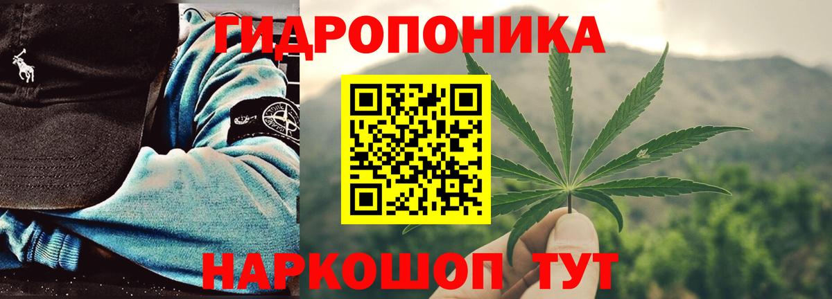 Луга  Каннабис марихуана  Шишки марихуана планчик  Вход с VPN  Конопля White Widow 
